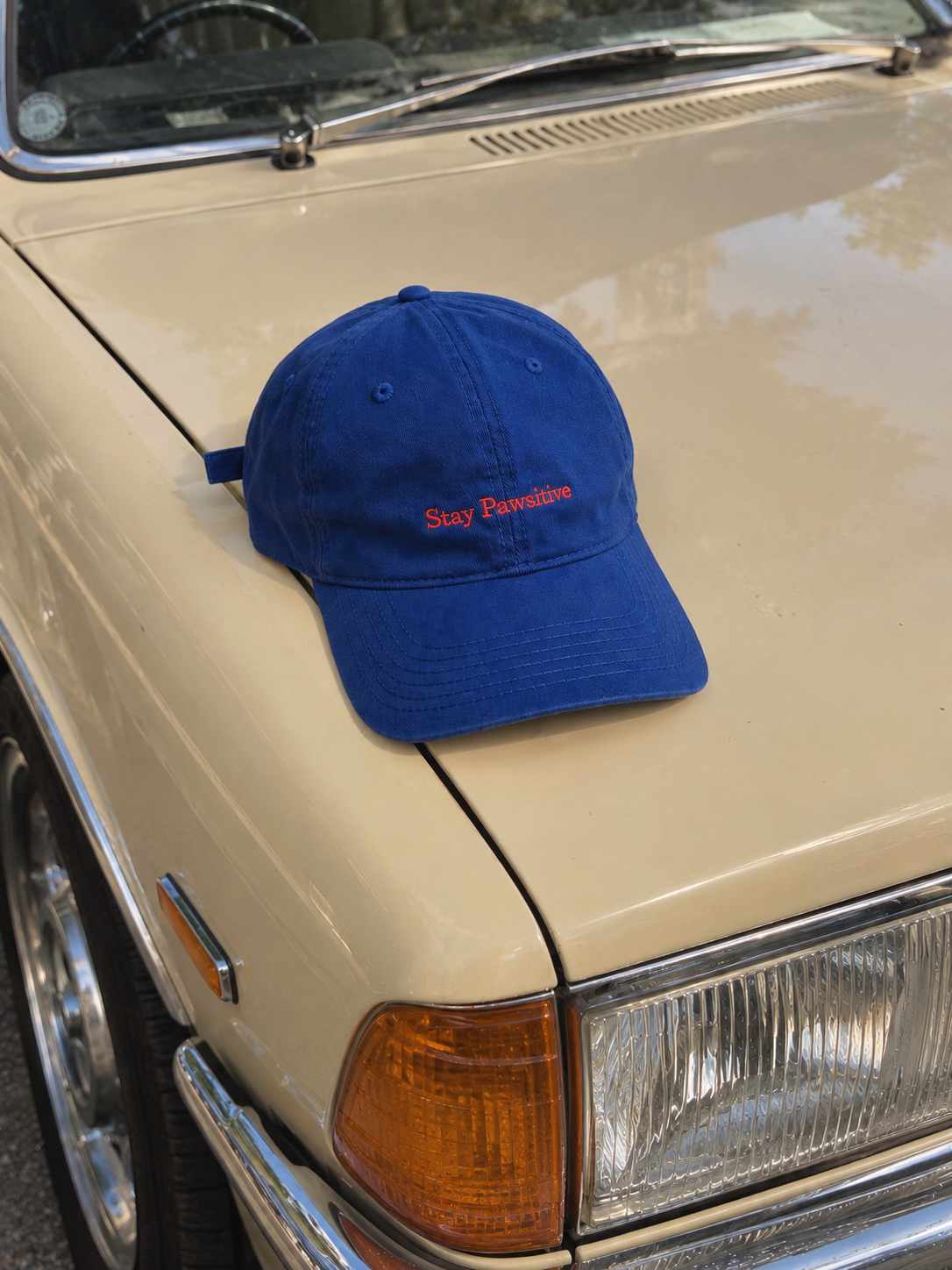A blue Stay Pawsitive CHILLI cap on the bonnet of a vintage ivory car
