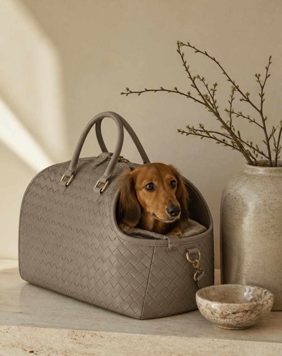 A woven leather CHILLI carrier in stone, with a dog looking out